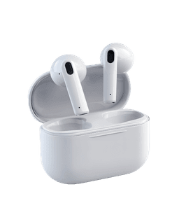 Earphone